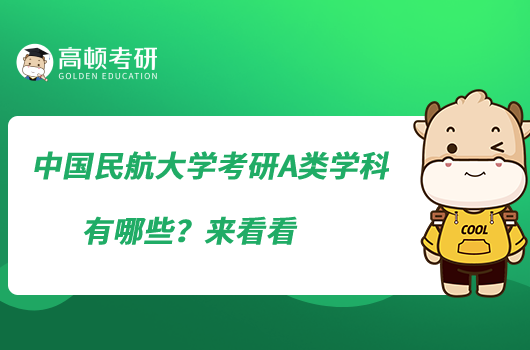 中國民航大學考研A類學科有哪些？來看看