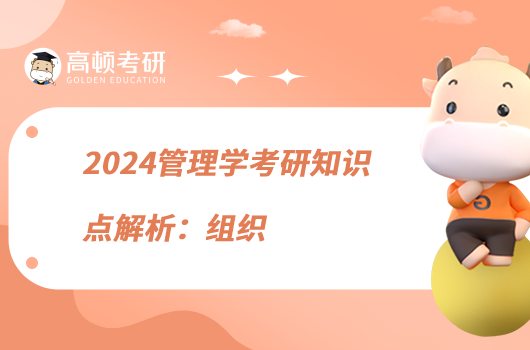 2024管理學考研知識點解析:組織